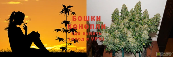 трава Арсеньев