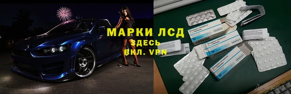 трава Арсеньев