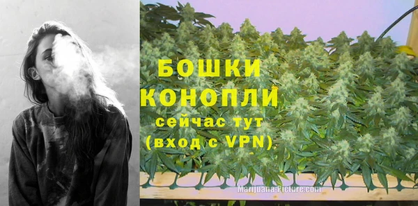 бошки Аркадак
